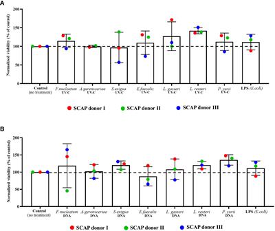 Exploring the impact of oral bacteria remnants on stem cells from the Apical papilla: mineralization potential and inflammatory response